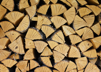 Fototapeta premium Pile of dry birch wood - background