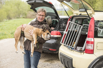 Frau trägt Bulldogge zum Auto
