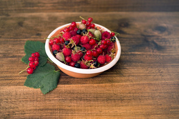 red currant berries and mulberries on a white plate