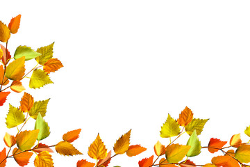 Naklejka na ściany i meble autumn leaves isolated on white background.