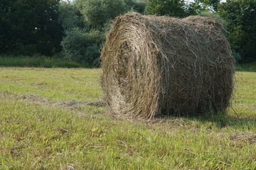 Rolling haystacks in countryside.