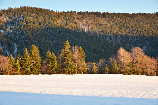 Chartreuse un soir d'hiver (Is&egrave;re)