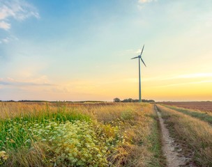 Windpower on Field in Sunset