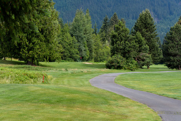 Wooded golf course with cart path meandering through
