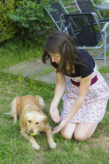 Cute girl petting dog outdoors