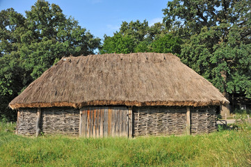 Fototapeta na wymiar Ancient barn with a straw roof