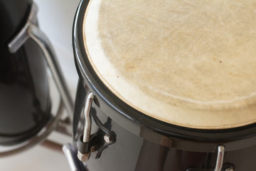 Black Brazilian Bongo