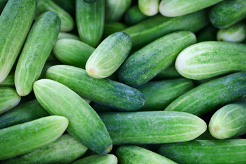Cucumbers background