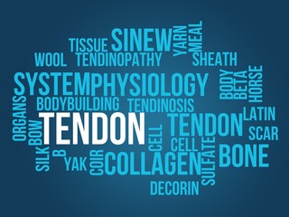 tendon