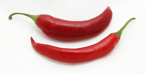 Two red hot chili peppers with white background.