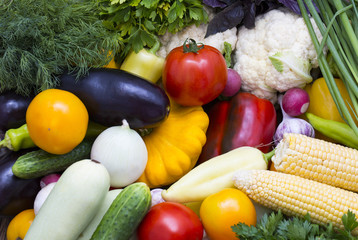 Background of fresh vegetables and greens closeup