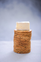 Fototapeta na wymiar round crackers with camembert