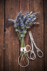 Obraz premium drying fresh lavender, herb concept