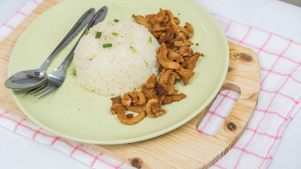 Closeup of rice and fresh fried pork with sesame, thai food