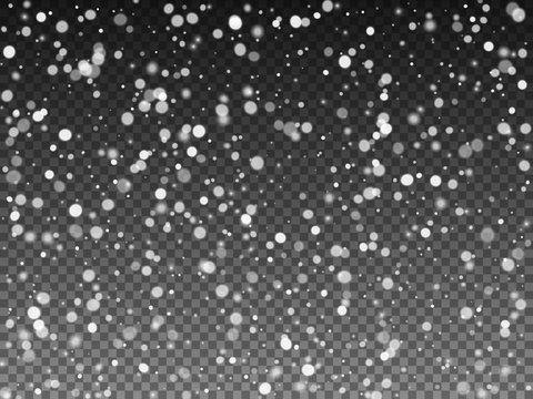 Falling snow on the transparent background. Vector illustration