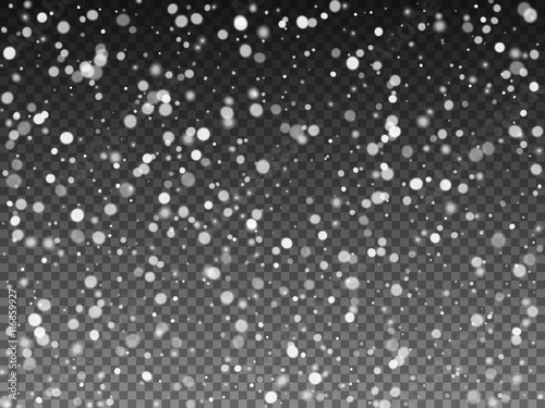 "Falling snow on the transparent background. Vector illustration" Stock