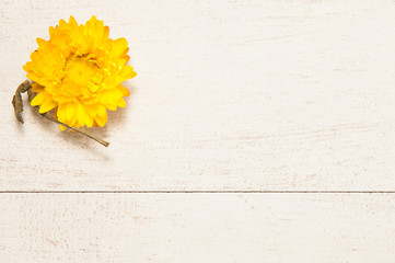 Flor seca amarilla 