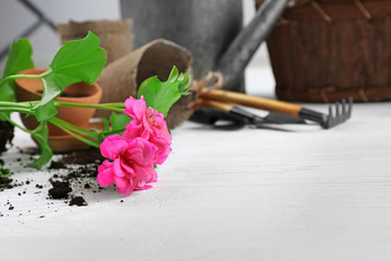 Gardening tools and flowers on wooden background