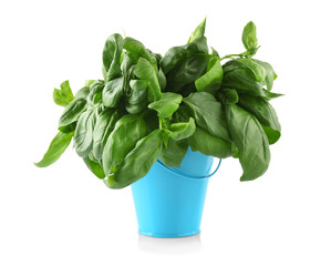 Fresh basil in bucket, isolated on white