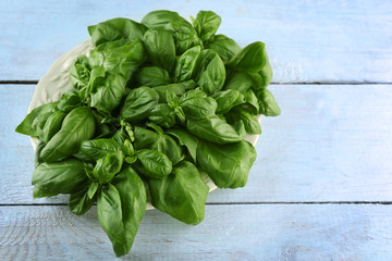 Fresh bunch of basil on wooden table