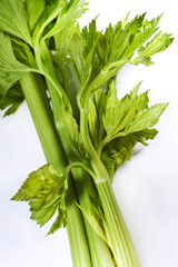Green celery on a background