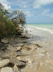 Rocky tropical beach