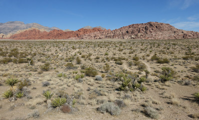 Landscapes of Red Rock Canyon State Park, Nevada, USA