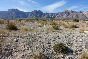 Fototapeta premium Landscapes of Red Rock Canyon State Park, Nevada, USA