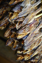 魚の干物