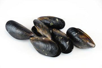 cooked mussels isolated on white background
