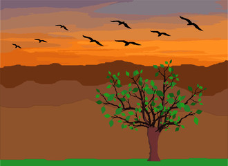 Pássaros voando sobre montanhas em um fim de tarde.