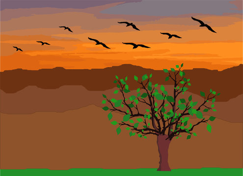 P&aacute;ssaros voando sobre montanhas em um fim de tarde.