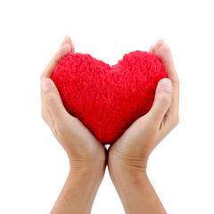 Obraz premium hands hold a red heart on white background