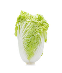 Fresh chinese cabbage on a white background
