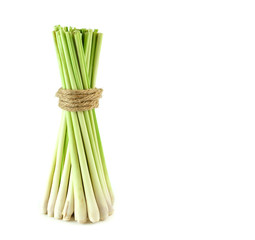 Lemongrass stand on white background