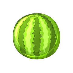 Watermelon. Cartoon icon. Isolated objects on white background. Vector illustration.