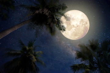 Beautiful fantasy of palm tree at tropical beach and full moon with milky way star in night skies...