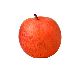 Pomme 
