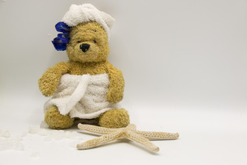 Bear is going to massage in spa