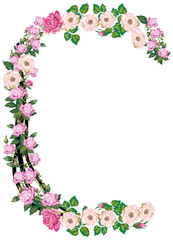 letter C from rose and brier flowers isolated on white