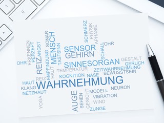 Wahrnehmung