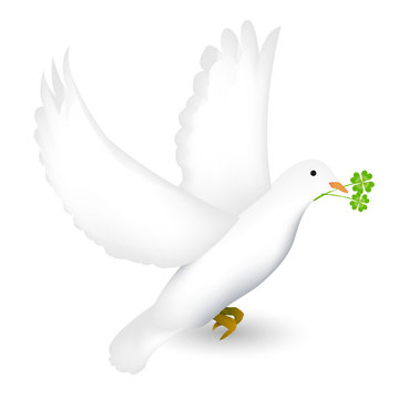 白鳩 Images Browse 87 Stock Photos Vectors And Video Adobe Stock 白鳩 Images Browse 87 Stock Photos Vectors And Video Adobe Stock