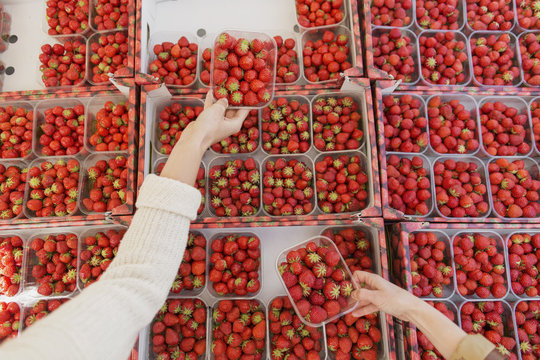 Cropped image of hands holding strawberries on display at stall