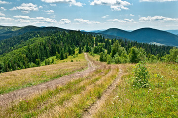 Fototapeta na wymiar Mountain landscape with trail