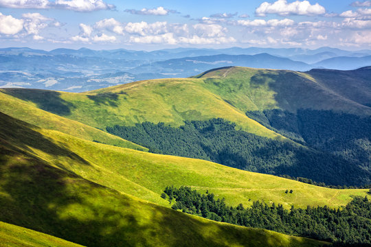 hill side meadow in summer