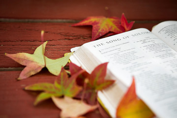 Naklejka na ściany i meble Autumn leaves with a Bible background.