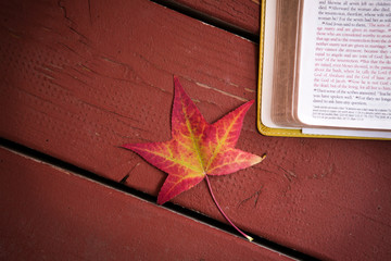 Autumn leaves with a Bible background.