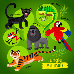 Vector set - cute wild animals of Jungle. Childish illustration in cartoon style. Part 1: Panther, gorilla, tiger, iguana, frog, parrot