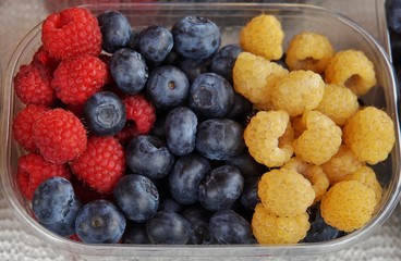 sommerliche Beerenfrüchte