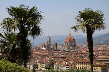 Obraz premium View to Basilica San Lorenzo, Giottos Campanile and Santa Maria del Fiore, Florence Italy